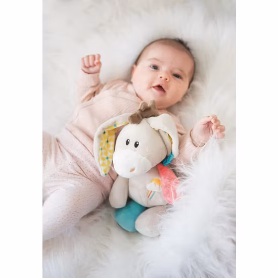 NICI Aktivitetsleksak Åsna