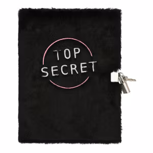 Dagbok Med Hänglås Top Secret
