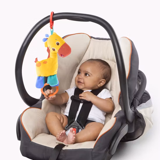 Bright Starts Zippy Zoo Babygym