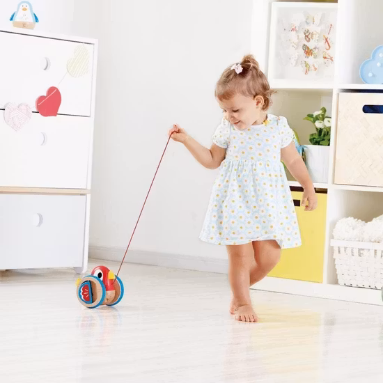 Hape Dragleksak Fågel