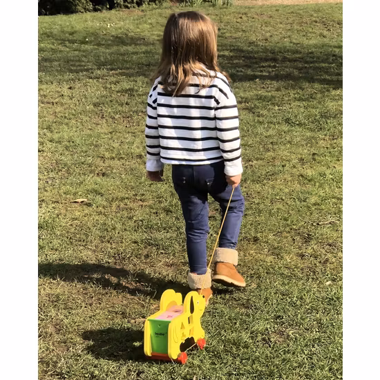 Oxford Toys Hund Med Formsorterare