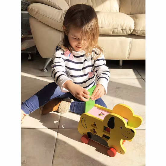 Oxford Toys Hund Med Formsorterare