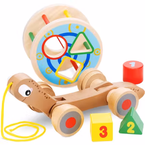 Navaris Dragleksak Med Formsorterare Sköldpadda