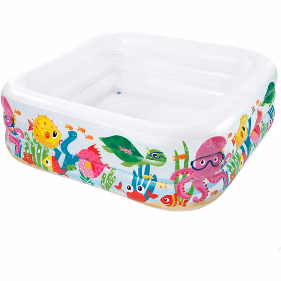 Intex Barnpool Clearview Aquarium