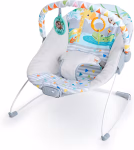 Bright Starts Babygunga Safari Fun