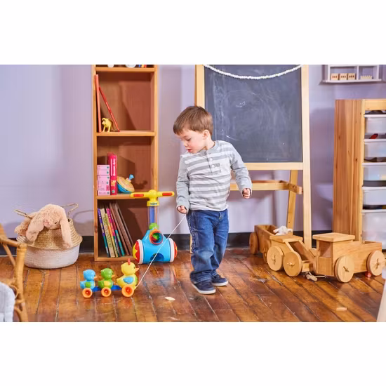 Toomies Ankfamilj Dragleksak