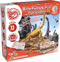 Science4you Brachiosaurus Fossila Utgrävningar