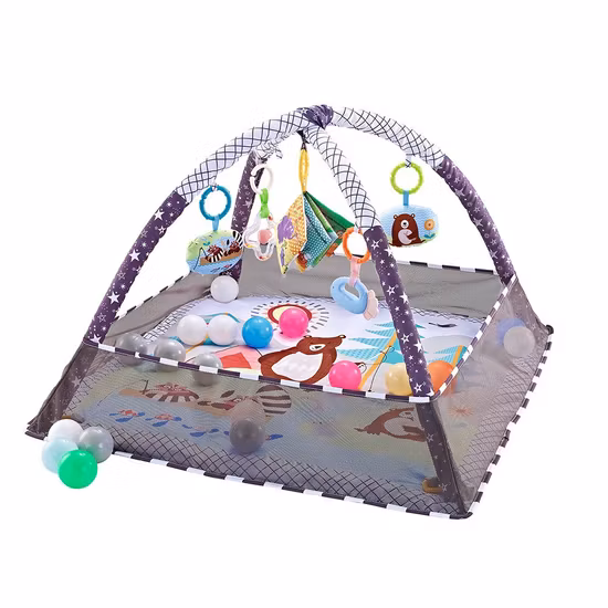 Fairchild Babygym Med Bollar Lila