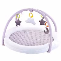 Fairchild Babygym