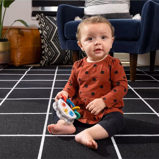 Baby Einstein Skallra Tiny Tamburin