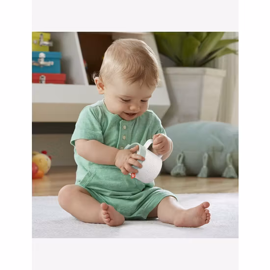 Fisher-Price Rattle A-Latte