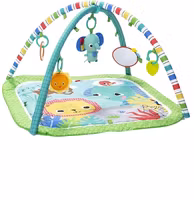 Bright Starts Wild Wiggles Babygym