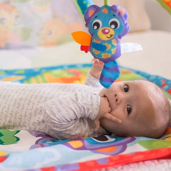 Playgro Babygym Med Projektor