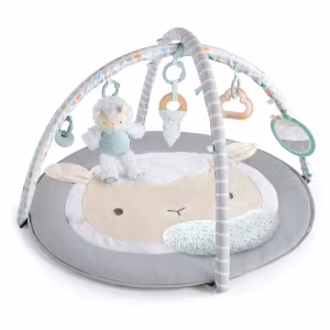 Ingenuity Sheppy's Spot Babygym