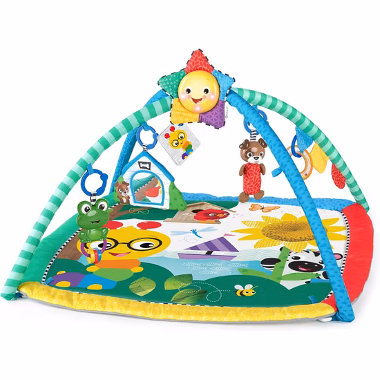 Baby Einstein Caterpillar & Friends Babygym
