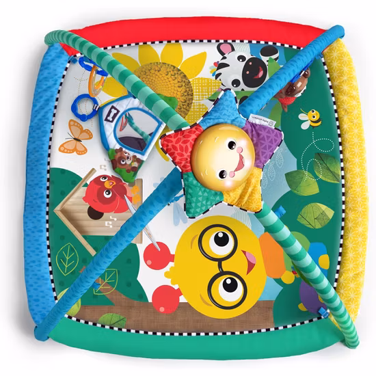 Baby Einstein Caterpillar & Friends Babygym