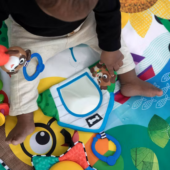 Baby Einstein Caterpillar & Friends Babygym