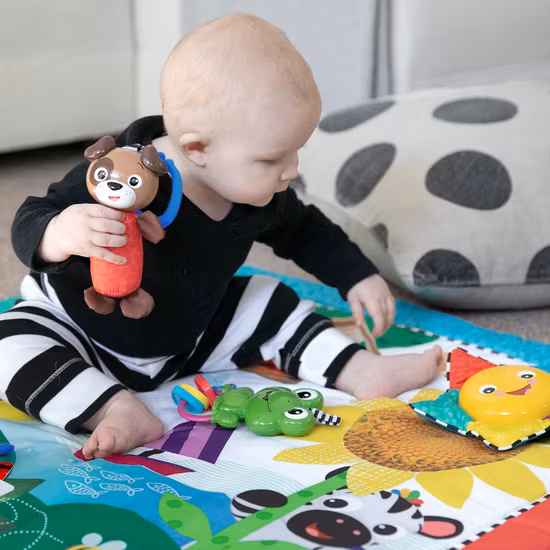 Baby Einstein Caterpillar & Friends Babygym