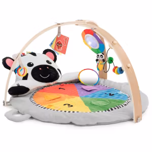 Baby Einstein Zen's Activity Milestones Babygym