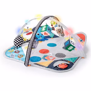 Baby Einstein Sensory Play Space Babygym