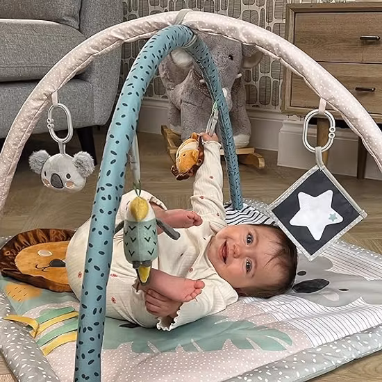Nuby Animal Adventure Babygym