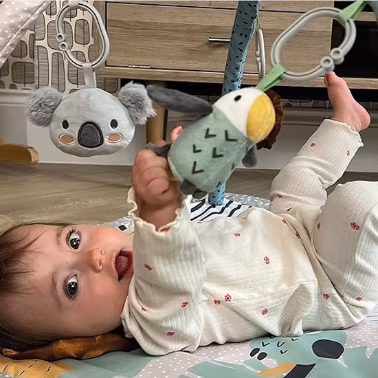 Nuby Animal Adventure Babygym