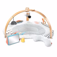 Skip Hop Discoverosity Babygym