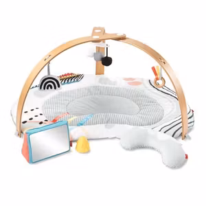 Skip Hop Discoverosity Babygym