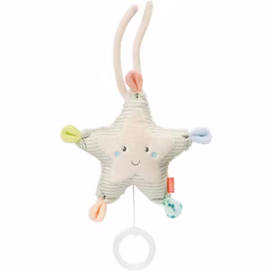 Fehn Speldosa Sjöstjärna