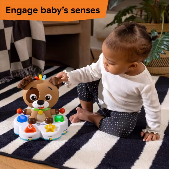 Baby Einstein Drum & Learn Dean Aktivitetsleksak