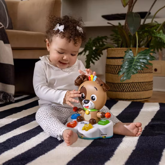 Baby Einstein Drum & Learn Dean Aktivitetsleksak