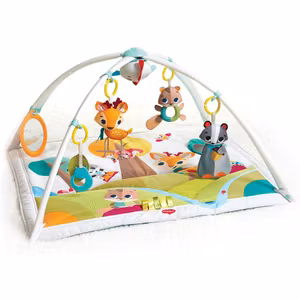 Tiny Love Gymini Deluxe Babygym