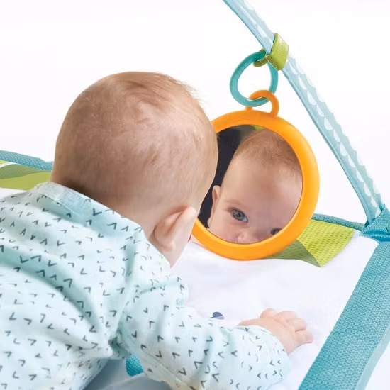 Tiny Love Meadow Days Babygym