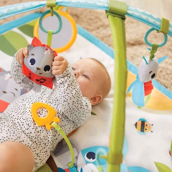 Tiny Love Meadow Days Babygym