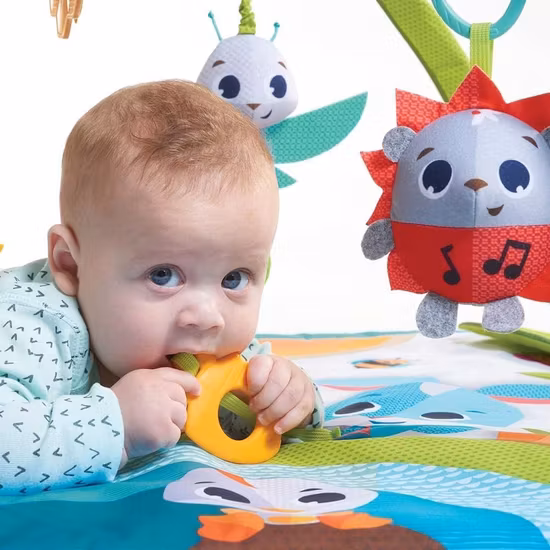 Tiny Love Meadow Days Babygym
