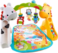 Fisher Price Newborn To Toddler Babygym