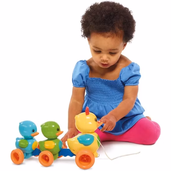 Toomies Ankfamilj Dragleksak