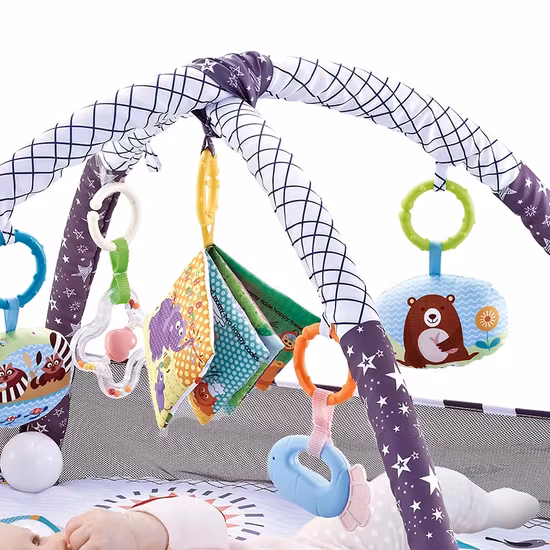 Fairchild Babygym Med Bollar Lila