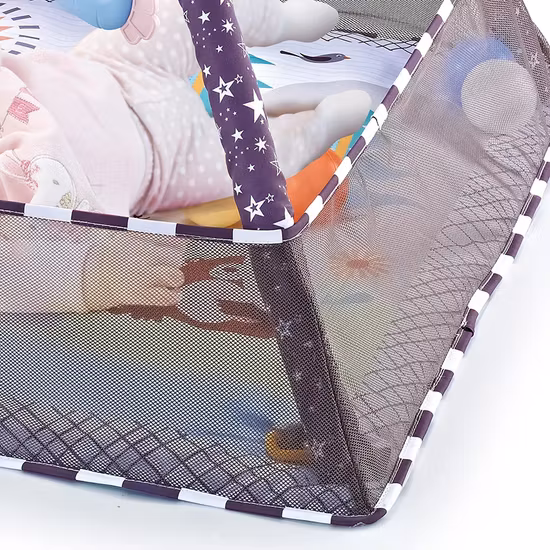 Fairchild Babygym Med Bollar Lila