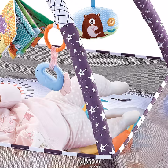 Fairchild Babygym Med Bollar Lila