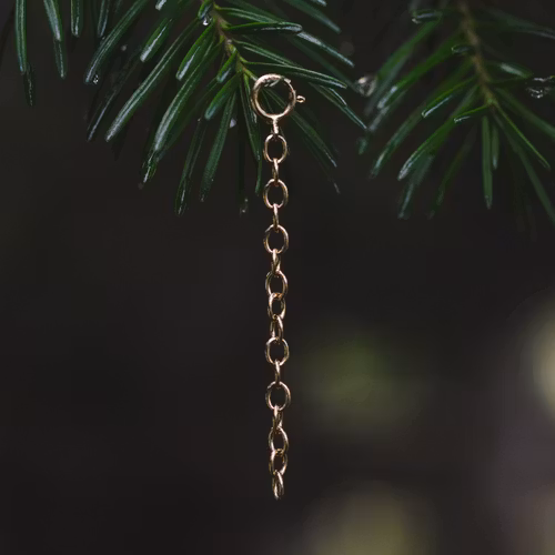 Förlängningskedja guld
