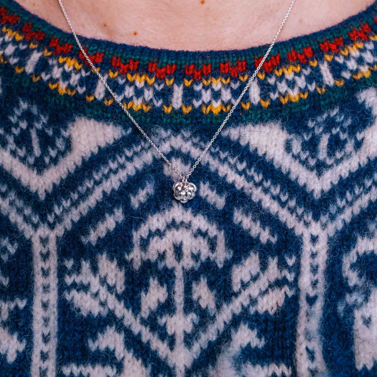 Hjortron halsband