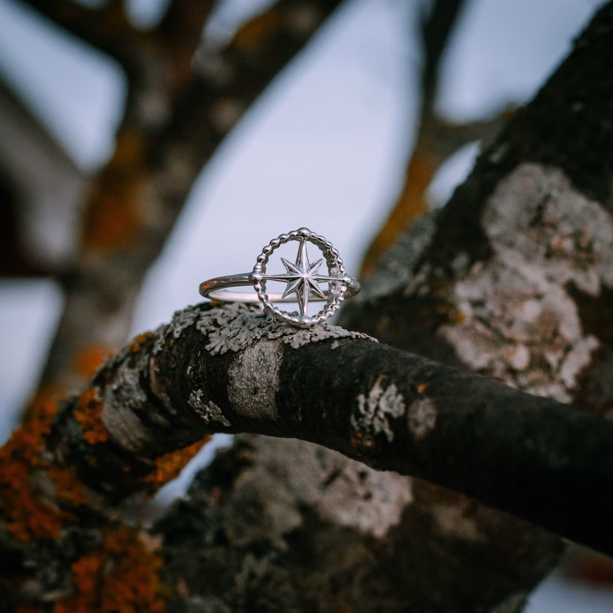 Kompass ring