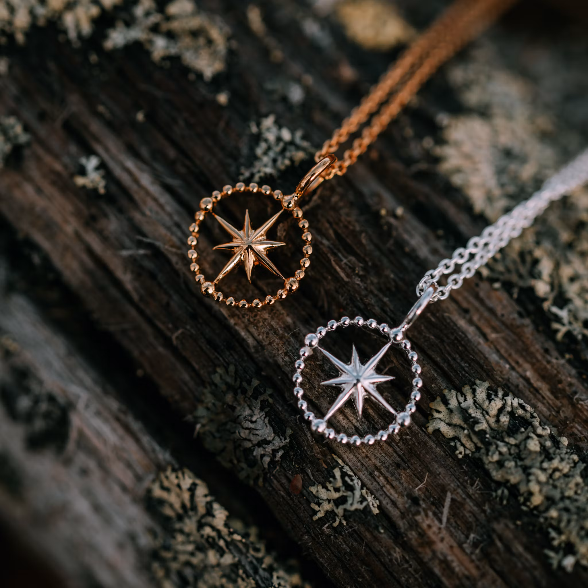 Kompass halsband