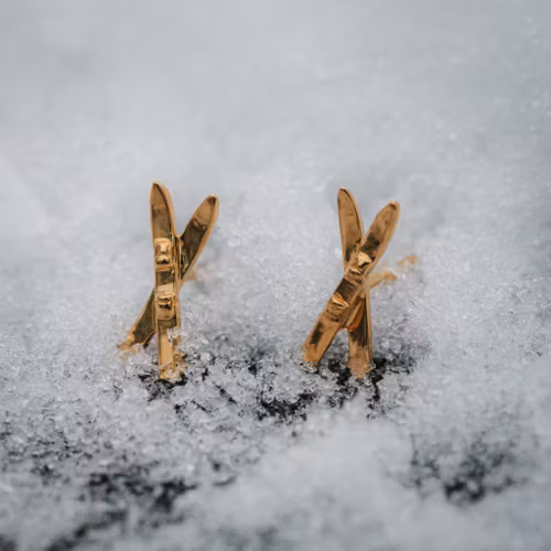 Skida örhängen guld