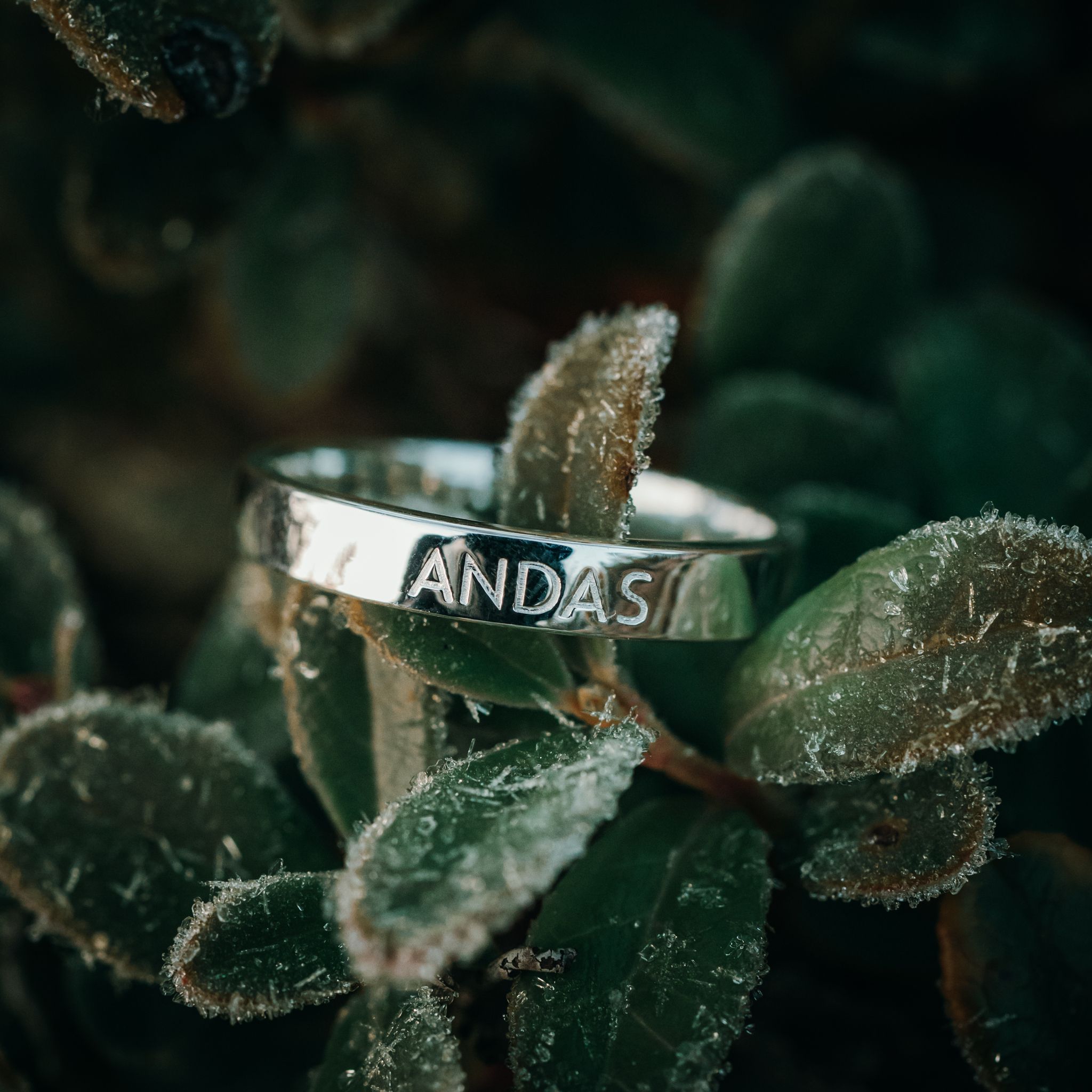Andas ring