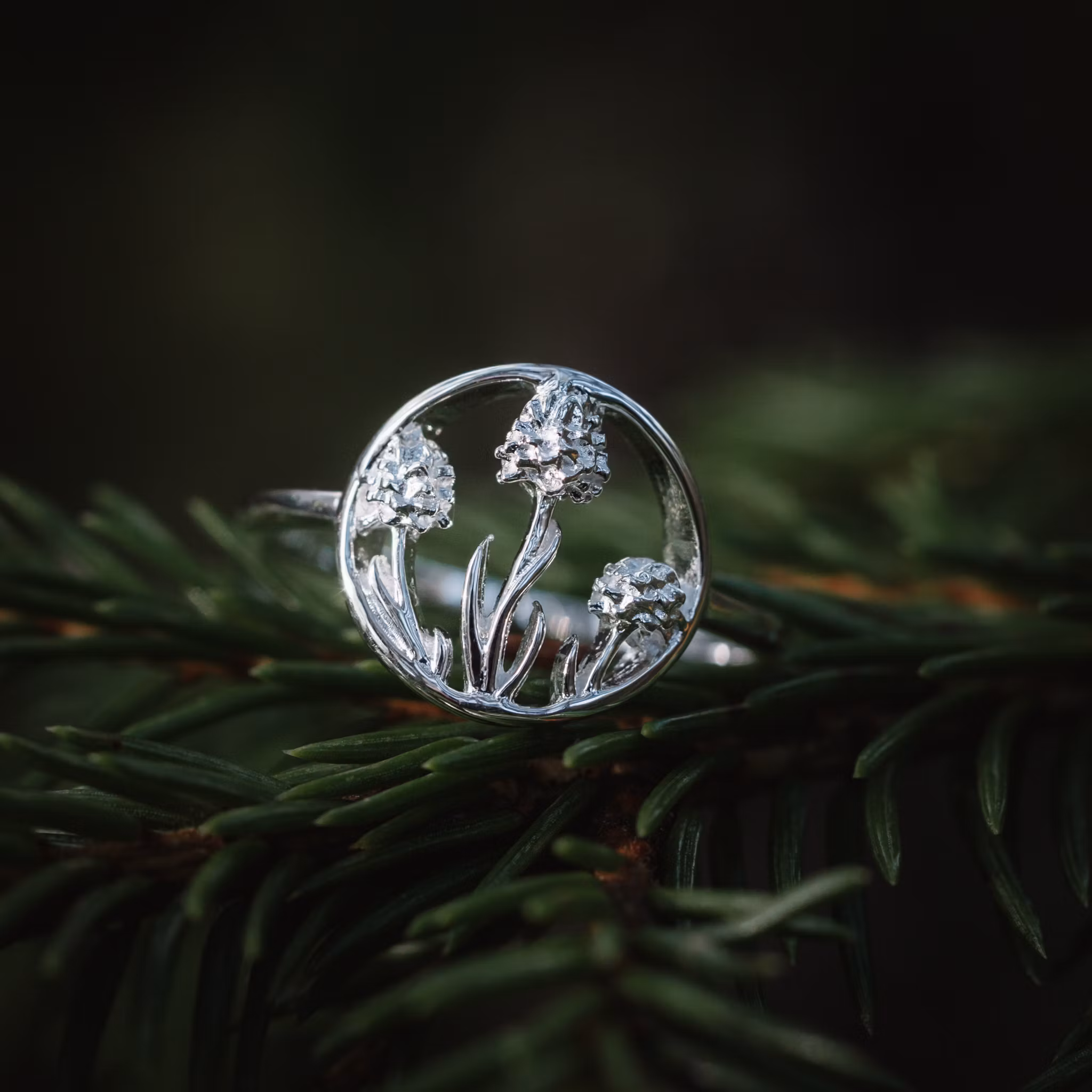 Brunkulla ring