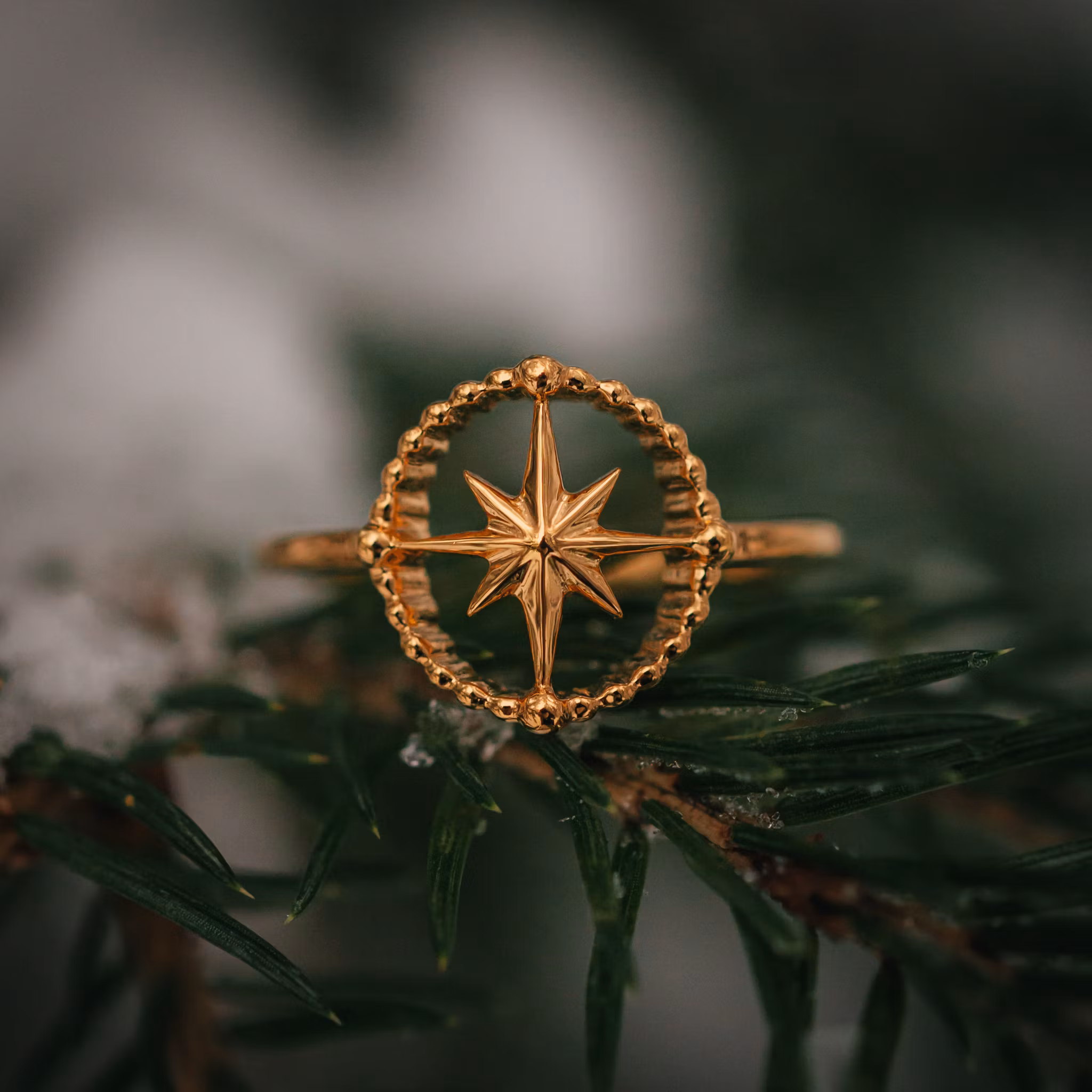 Kompass ring guld