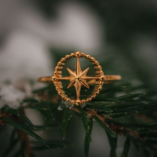 Kompass ring guld