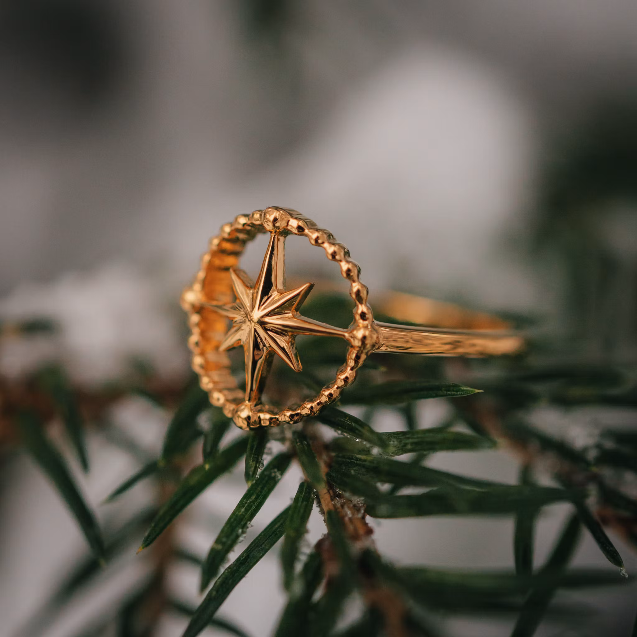 Kompass ring guld